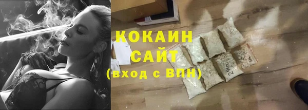 соль ск Алексин