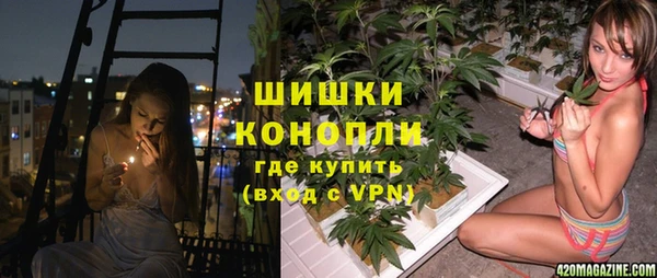 2c-b Алзамай