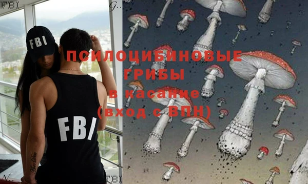 бошки Абинск